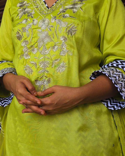 Lime Green Embroidered Farsi Suit Set